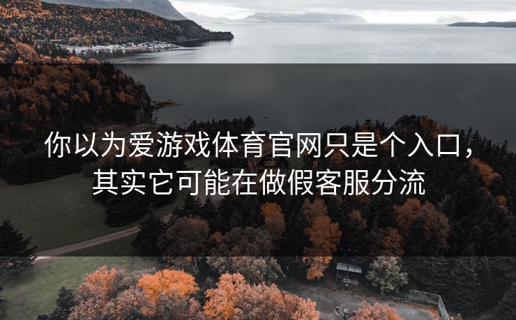 你以为爱游戏体育官网只是个入口，其实它可能在做假客服分流