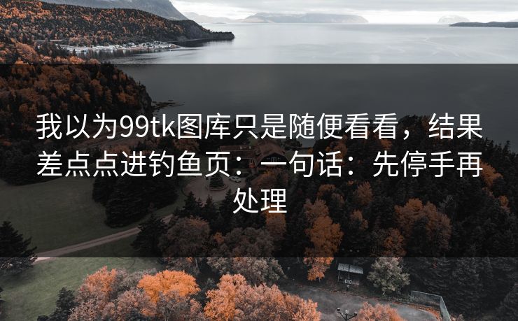 我以为99tk图库只是随便看看，结果差点点进钓鱼页：一句话：先停手再处理